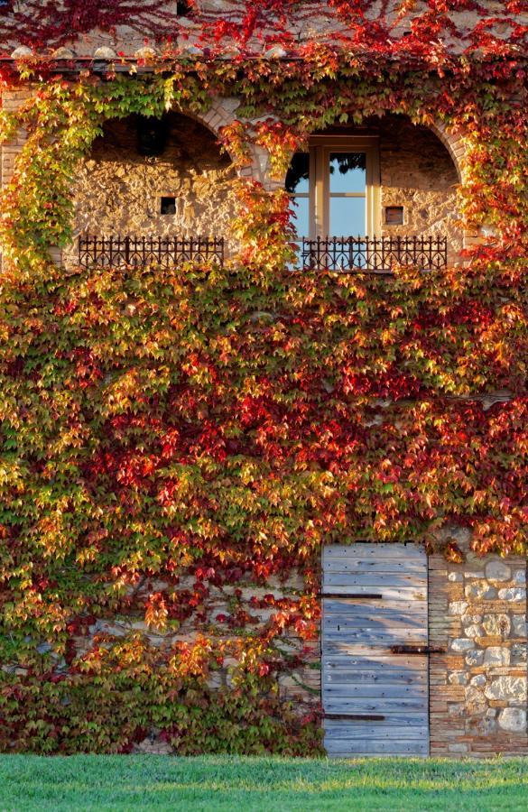 Relais Sant'Elena Bed and Breakfast Bibbona Exteriör bild