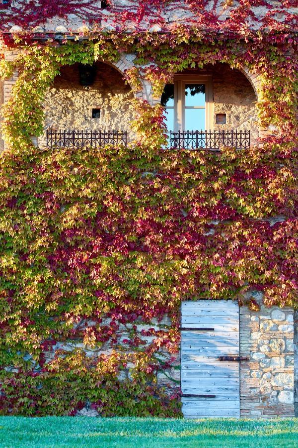 Relais Sant'Elena Bed and Breakfast Bibbona Exteriör bild