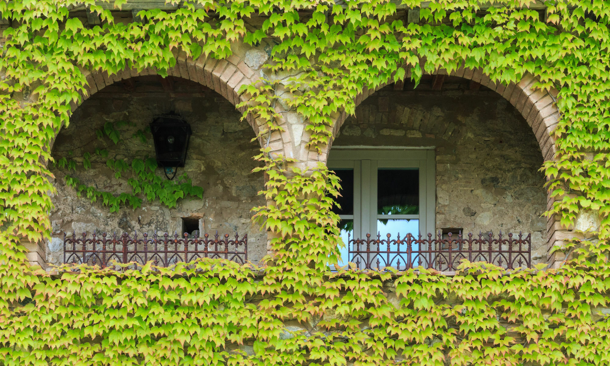 Relais Sant'Elena Bed and Breakfast Bibbona Exteriör bild